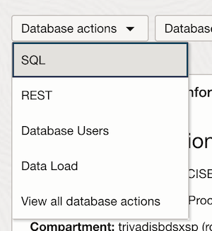 ADB SQL Action